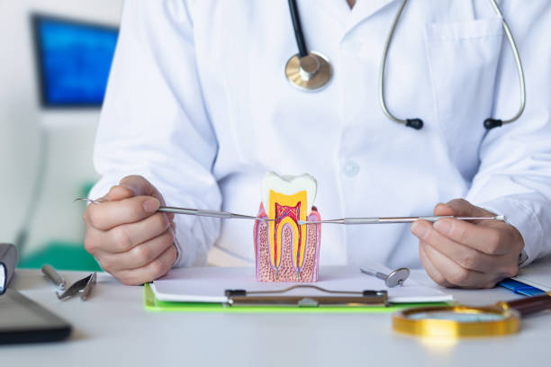 Best After-Hours Emergency Dentist in Bull Run, VA